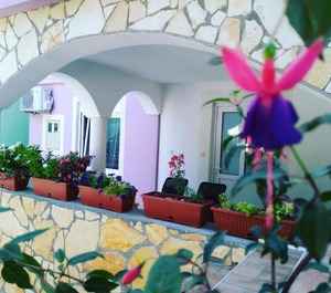Apartments Ema 