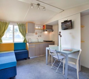 Holiday Camping 