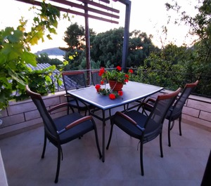 Terrace Sea Drvenik Mali 