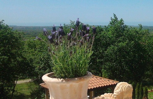 Kastelir House | 140 m² House ∙ 3 bedrooms ∙ 6 guests