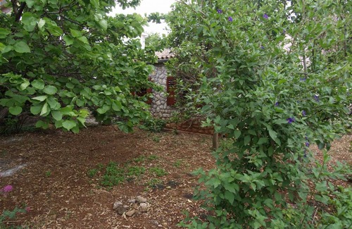 Veli Losinj Apartment | 20 m² Apartment ∙ 2 guests