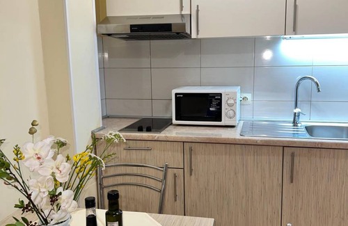 Veli Rat Apartment | 23 m² Studio flat ∙ 1 bedroom ∙ 2 guests