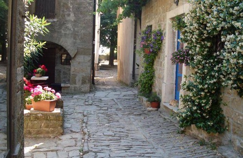Groznjan Bed & Breakfast | 25 m² Bed and breakfast ∙ 3 guests