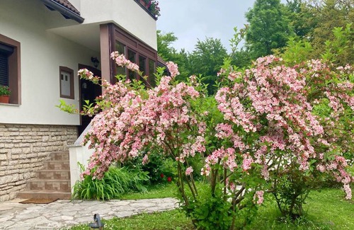 Mukinje Apartment | 28 m² Apartment ∙ 1 bedroom ∙ 4 guests