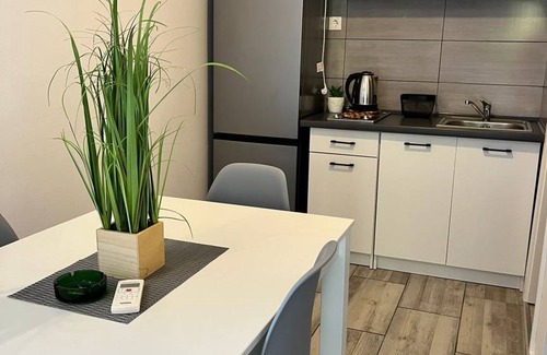 Potocnica Apartment | 29 m² Apartment ∙ 1 bedroom ∙ 2 guests