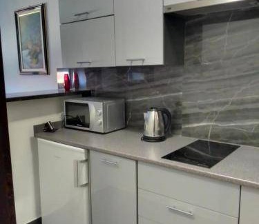 Velika Gorica Apartment | 30 m² Apartment ∙ 1 bedroom ∙ 2 guests