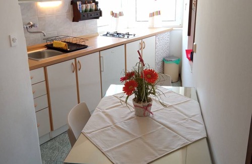 Murter Apartment | 32 m² Apartment ∙ 1 bedroom ∙ 3 guests