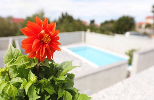 Seline Apartment | 35 m² Apartment ∙ 1 bedroom ∙ 4 guests