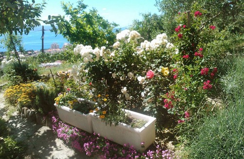 Moca Apartment | 40 m² Apartment ∙ 2 bedrooms ∙ 4 guests