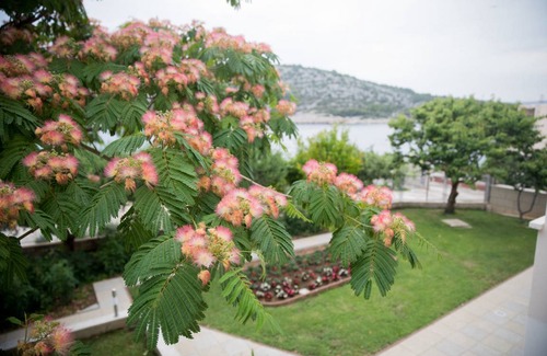 Razanj Apartment | 60 m² Apartment ∙ 1 bedroom ∙ 4 guests