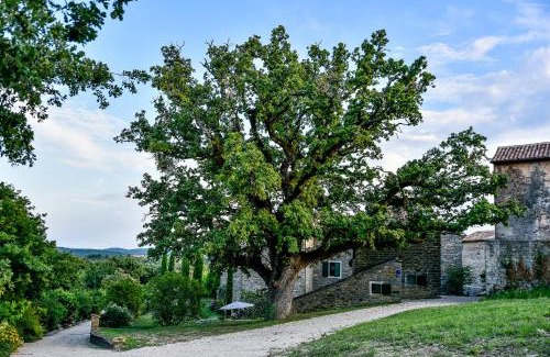 Marusici Bed & Breakfast | ADQ Abbraccio della quercia