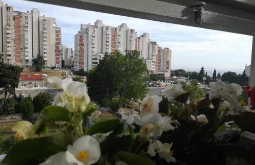 Znjan Apartment | Antonio