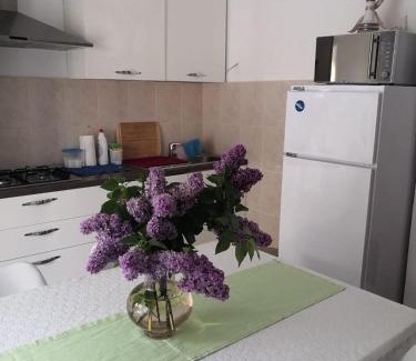 Donji Karin House | Apartmani Val