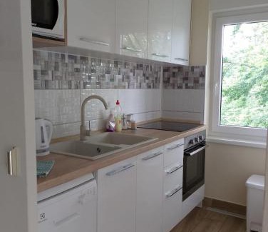 Mukinje Apartment | Apartment Alex