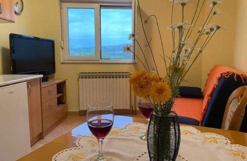 Jadrtovac Apartment | Apartment Luka - One Bedroom Apartment with Balcony and Sea View