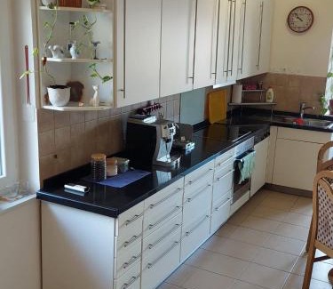 Donji Karin Apartment | Apartment Monika