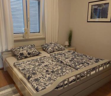 Donji Karin Apartment | Apartment Monika