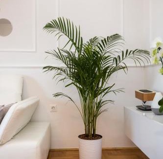 City Center Apartment | Apartment Parentium