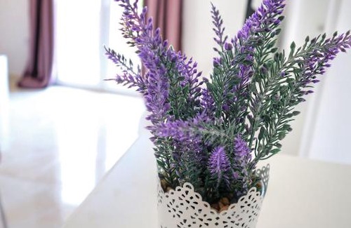 Zadar Apartment | Apartment Velvet