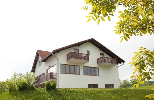 Catrnja Apartment | Apartments and rooms Zoran, (16222), Smoljanac, hr