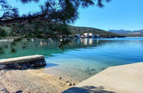 Dubrava Apartment | Apartments by the sea Luka Dubrava, Peljesac - 13632