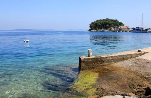 Savar Apartment | Apartments by the sea Savar, Dugi otok - 8079
