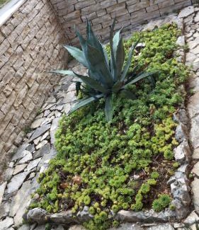 Kali Apartment | Apartments Lamjana