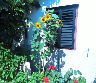 Pakostane Apartment | Apartments Prisnac