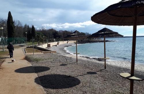 Tar-Vabriga Apartment | Apartments Roviš