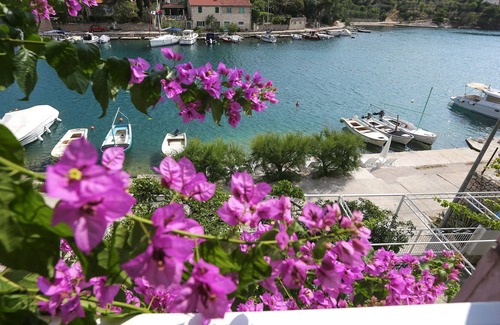 Bobovisca Apartment | Apartments Seaside (81311-A2) - Bobovisce