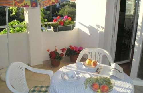 Murter Apartment | Apartments Sonja Murter Croatia