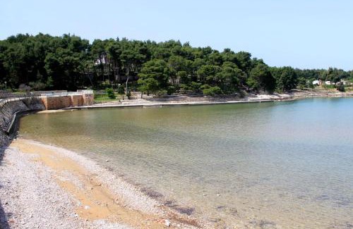 Island Hvar Apartment | Apartments with parking space Jelsa, Hvar - 8713