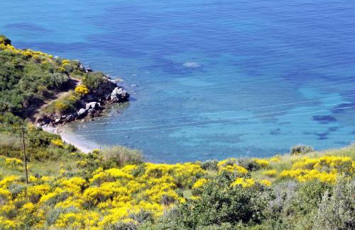 Plat Apartment | Apartments with parking space Plat, Dubrovnik - 4776