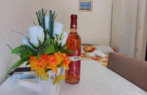 Vratarusa Apartment | Dalibor