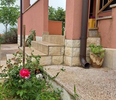 Zminj House | Guesthouse Martina