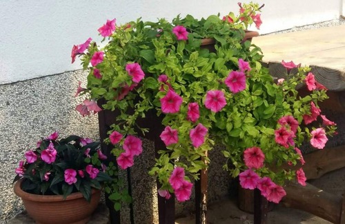 Susica Apartment | Holiday apartment With air conditioning