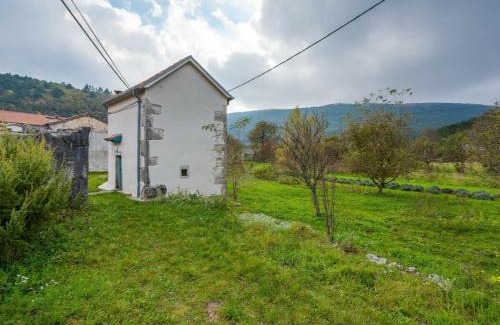 Lanisce House | Holiday home Dane 22