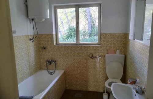 Susica House | Holiday home in Ugljan - Insel Ugljan 7464