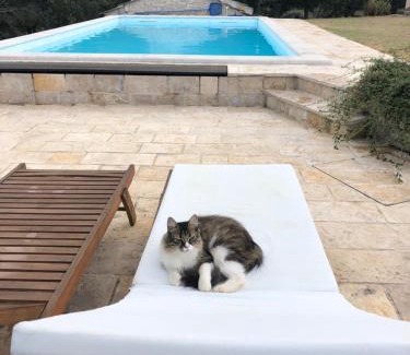 Krusevo Villa | Holiday house Green Dream