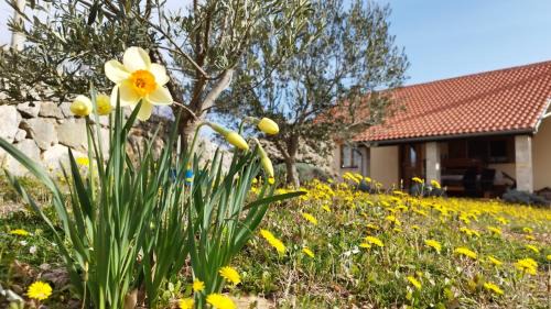 Krusevo Villa | Holiday house Green Dream
