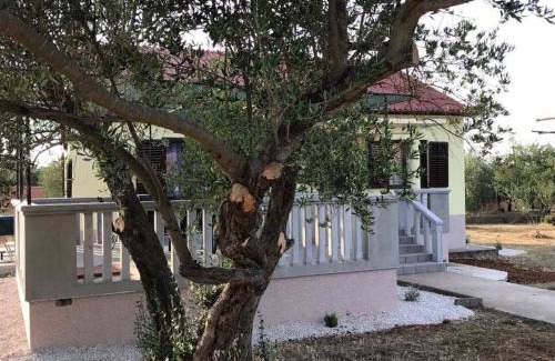 Ugljan House | Kuća za odmor Dido Ive