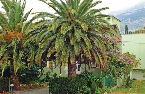Makarska Apartment | Lovely apartment in Makarska with WiFi
