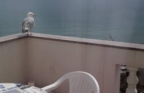 Krk Apartment | One bedroom apartment near beach Krk (A-5399-a)