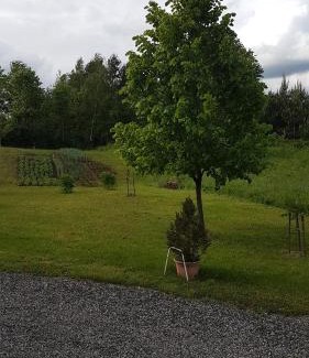 Grabovac House | Rooms Mišo
