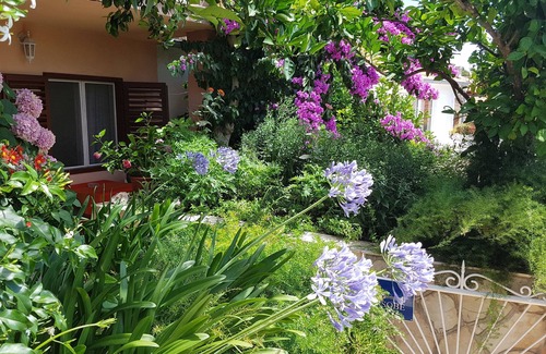 Vrboska Apartment | Rooms Roza