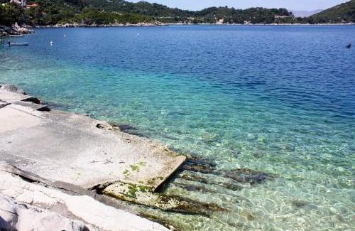 Sobra Apartment | Seaside apartments with a swimming pool Sobra, Mljet - 22926