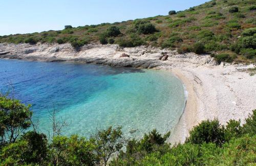 Savar House | Secluded fisherman's cottage Cove Ripisce, Dugi otok - 394