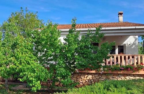 Zman House | Secluded fisherman's cottage Krknata, Dugi otok - 397