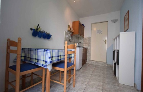 Vantacici Apartment | Studio with terrace and barbecue