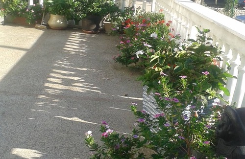 Zivogosce Apartment | Two bedroom apartment near beach Živogošće - Porat, Makarska (A-13853-b)